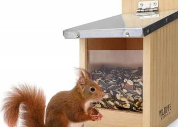 Karmik dla wiewiórek