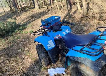 Yamaha big bear