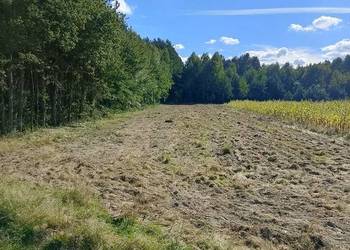 Działka rolna rekreacyjna