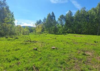 Działki w Małej Kamienicy