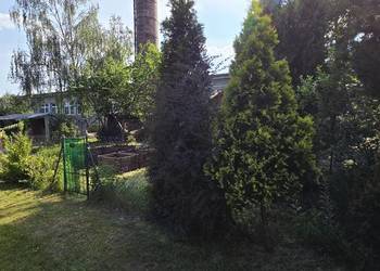 Działka ROD Wrzos Gliwice