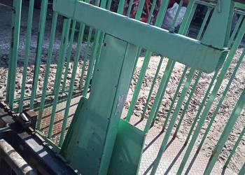 Waga do żywca bydła