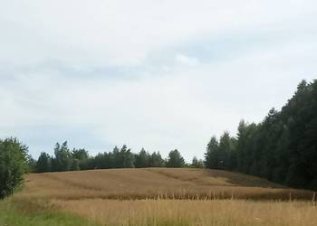 Sprzedam pole Podwysokie/Góra