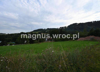 działka budowlana w Ludwikowicach