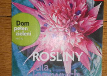 Dom pełen kwiatów - Rośliny dla leniwych - nr 3 (4)