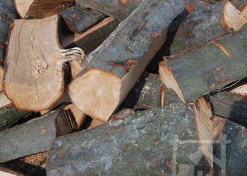 Kominkowe drewno, opałowe. Drewno do kominka