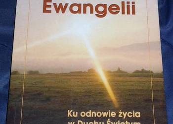 Mądrość Ewangelii - Francesco Bersini
