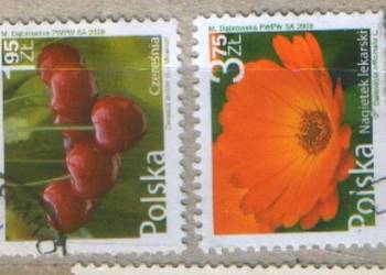 Zn. Fi 4288, 9 kas 2009