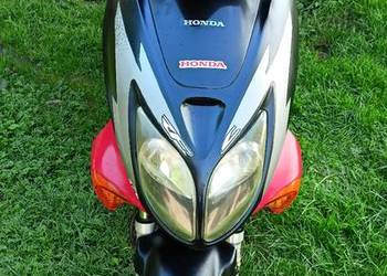 Honda x8r