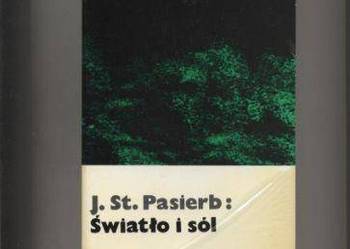 Światło i sól - Pasierb