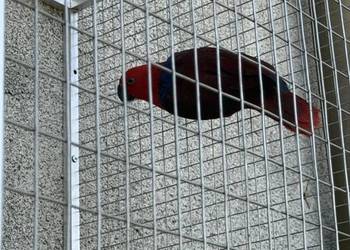 Para Zmieni Dom 2025R