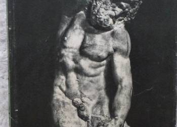 Album Michał Anioł 1475-1564; 1964 (ros)