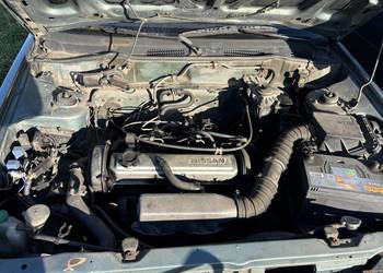 nissan sunny dla konesera