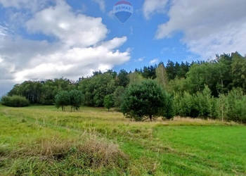 Działka 2100m²,wydana WZ, Stara Wieś