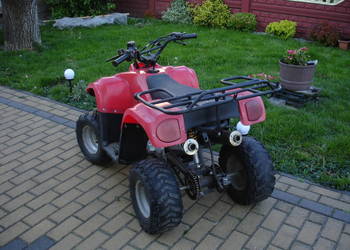 Quad ATV 110