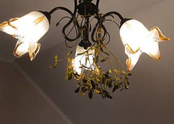 Sprzedam żylandor w bardzo dobrym stanie