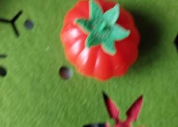 Solniczka mała  PRL  pomidor