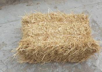 Sprzedam slome,siano w kostkach