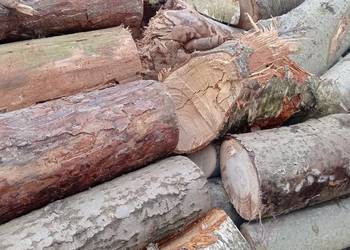 Drewno opałowe w cenie 250 zł/m3