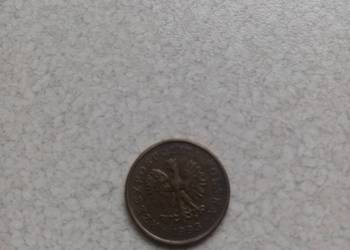5groszy