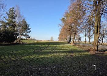 Działka budowlana w Strupinie Małym