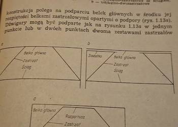 Cieśla Mostowy, 1. wydanie, niski nakład 2700+300 egz. – 1989, ilustracje