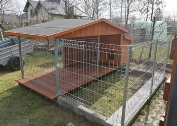 kojec buda  budokojec  dla psa i psów