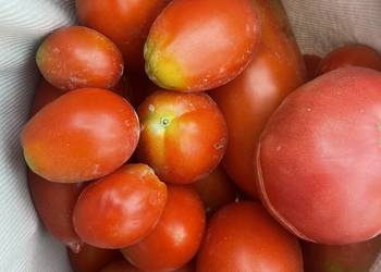 Naturalne ekologiczne pomidory mix odmian Lublin 7 zł