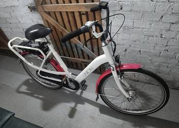 Dama elektryczna Union 250W tanio