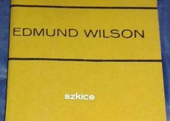 Szkice - Edmund Wilson