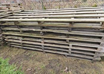 Palety po rigipsach wymiar 120x250/260 cm.