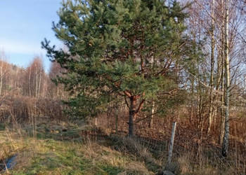 Sprzedam działkę budowlaną