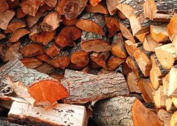 Drewno opałowe kominkowe sprzedam