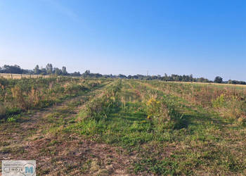 Grunt 22000m2 Łubnice