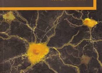 NA ŚCIEŻKACH NEURONAUKI - FRANCUZ PIOTR NA ŚCIEŻKACH NEURONAUKI - FRANCUZ PIOTR