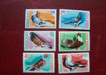 Rumunia 1981 MNH Mi. 3777/80Fauna Ptaki Gołębie  a