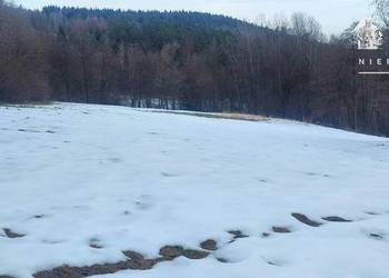 Działka budowlana w otulinie drzew 35 a – Siary, gm. Sękowa 1175S/2026