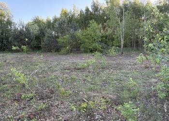 Działka budowlana Sokolnik / Mrozy, 970 m2