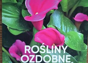 Nowa Rośliny ozdobne z kwiatów Michał Mazik