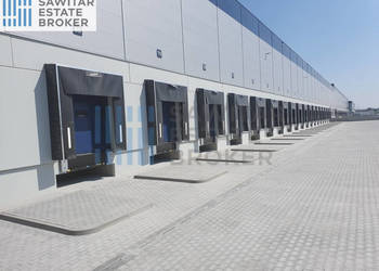 Hala klasy A Sosnowiec-bez prowizji