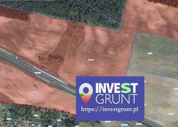 [50,93 ha] przetarg na dzierżawę gruntów rolnych