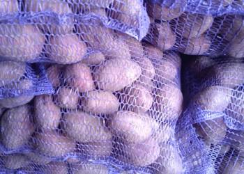 Ziemniaki czerwone Baltic rose