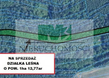 DO SPRZEDAŻY DZIAŁKA LEŚNA W JELNEJ