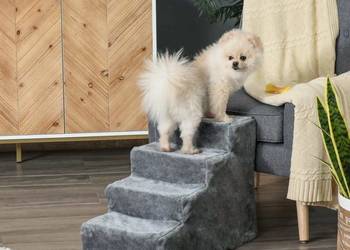 Drabinka dla Zwierząt Domowych PawHut - Idealna Do Sofa i Łóżka, Jasnoszary