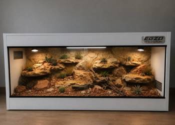 Terrarium specjalistyczne dla agamy brodatej gekona lamparciego