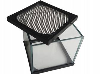 TRANSGLASS - TERRARIUM 12X11.5X11.5 - PRODUCENT