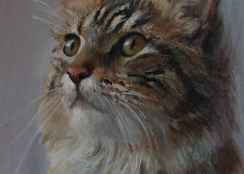 Obraz olejny Kot 24x30