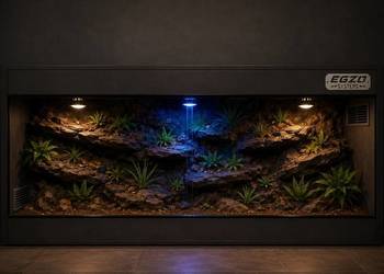 Terrarium dla agamy brodatej żółwia greckiego gekona lamparciego