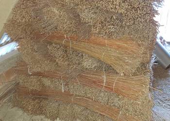 Wiklina sortowana sucha