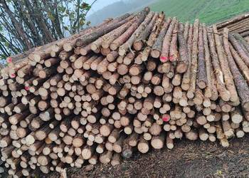 Stemple budowlane, kołki do ogrodzeń tymczasowych, paliki